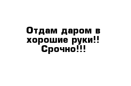 Отдам даром в хорошие руки!! Срочно!!! 